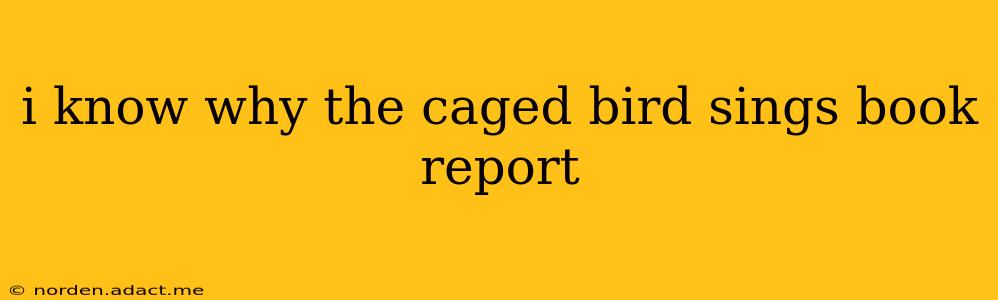 i know why the caged bird sings book report