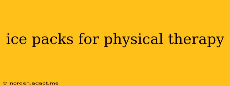 ice packs for physical therapy