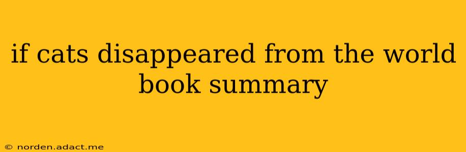 if cats disappeared from the world book summary