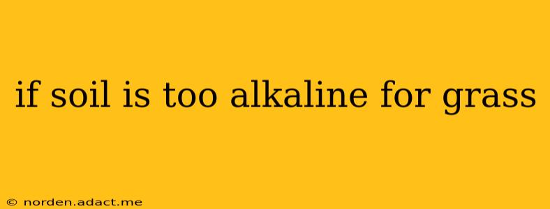 if soil is too alkaline for grass