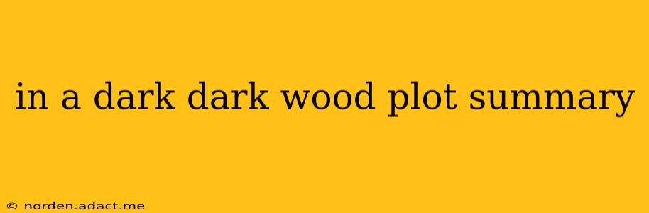 in a dark dark wood plot summary