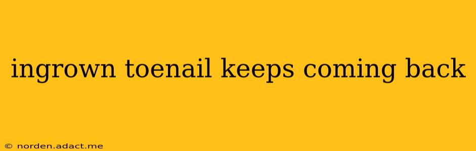 ingrown toenail keeps coming back