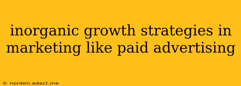 inorganic growth strategies in marketing like paid advertising