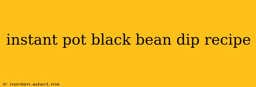instant pot black bean dip recipe