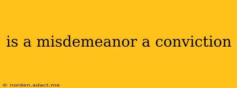is a misdemeanor a conviction
