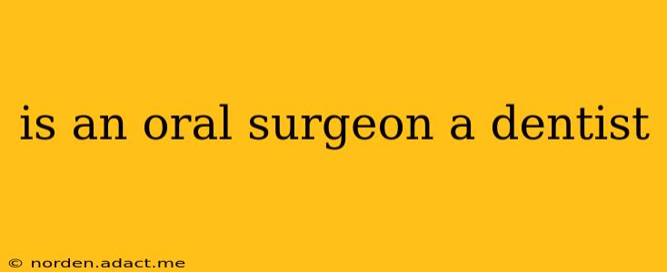 is an oral surgeon a dentist
