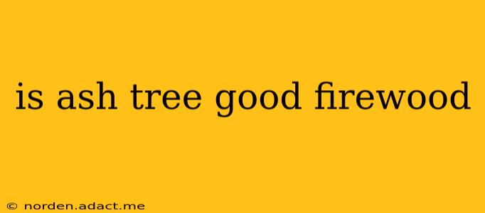 is ash tree good firewood