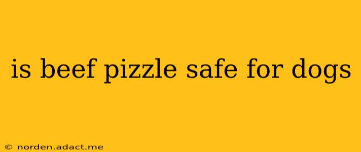 is beef pizzle safe for dogs