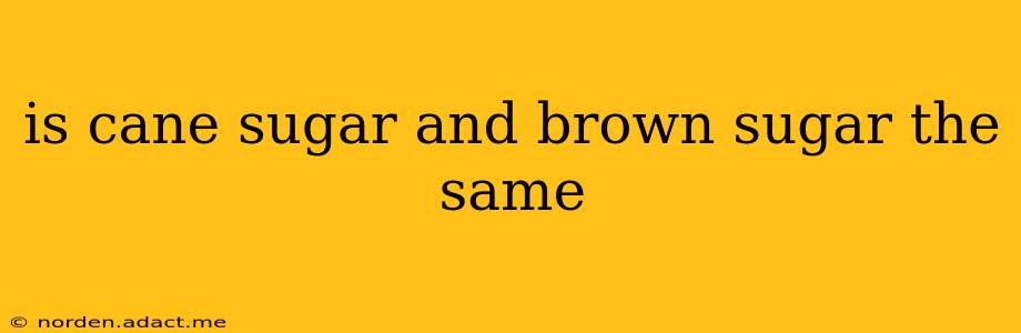 is cane sugar and brown sugar the same