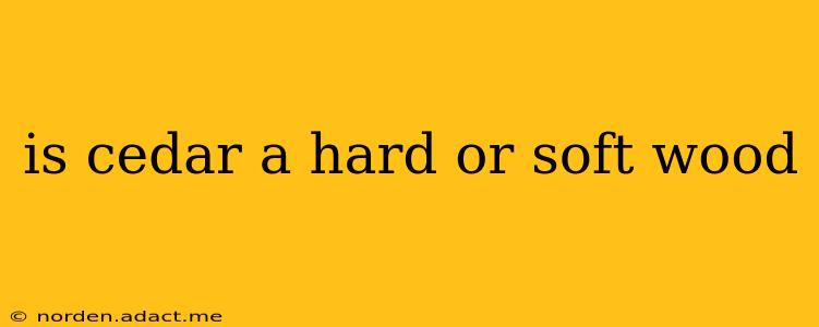 is cedar a hard or soft wood