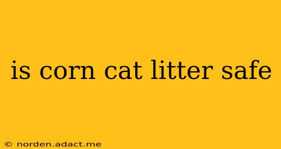 is corn cat litter safe