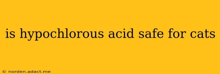is hypochlorous acid safe for cats