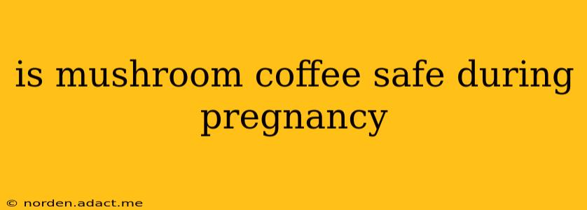 is mushroom coffee safe during pregnancy