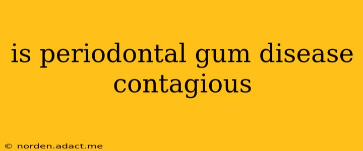 is periodontal gum disease contagious