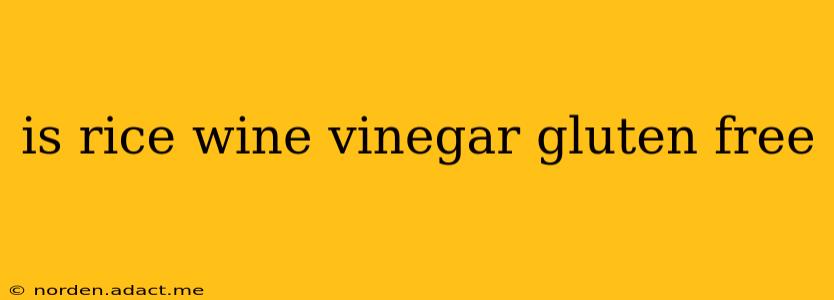is rice wine vinegar gluten free