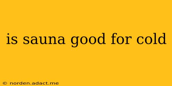 is sauna good for cold