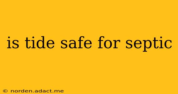 is tide safe for septic