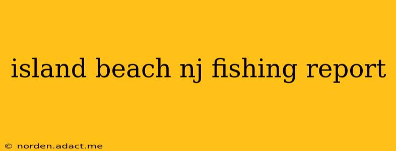 island beach nj fishing report
