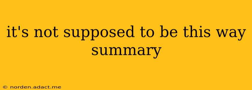 it's not supposed to be this way summary