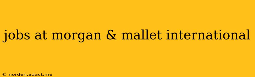 jobs at morgan & mallet international