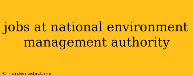 jobs at national environment management authority