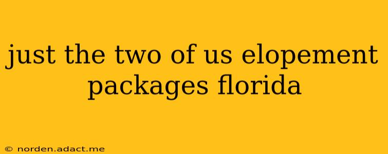 just the two of us elopement packages florida