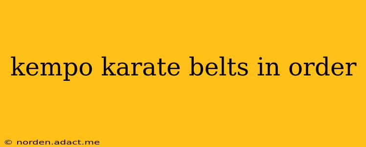 kempo karate belts in order