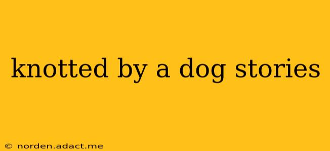 knotted by a dog stories