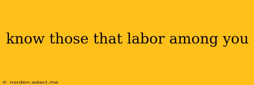 know those that labor among you