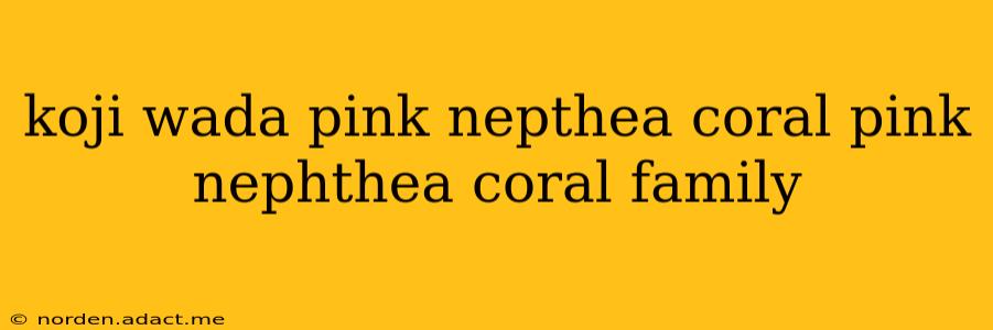 koji wada pink nepthea coral pink nephthea coral family