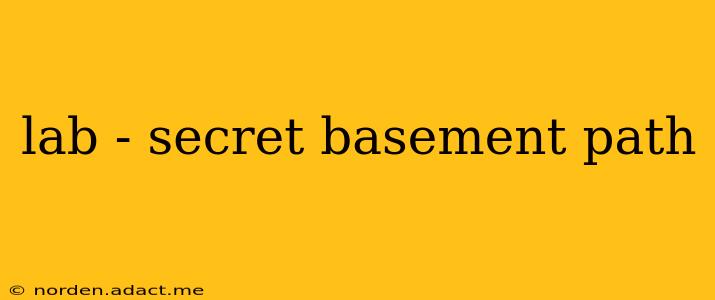 lab - secret basement path