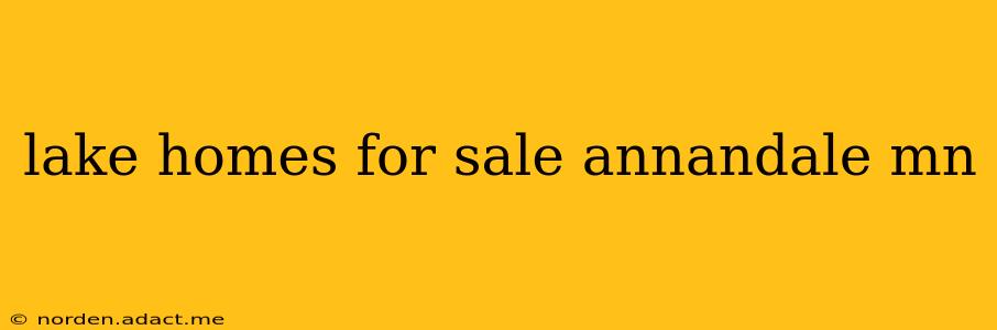 lake homes for sale annandale mn