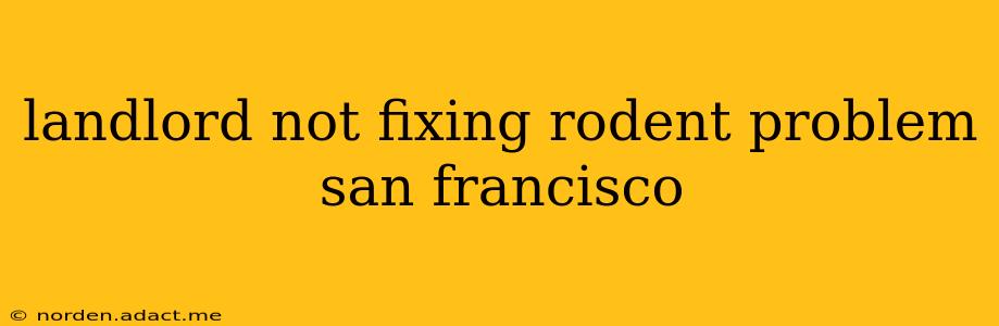 landlord not fixing rodent problem san francisco