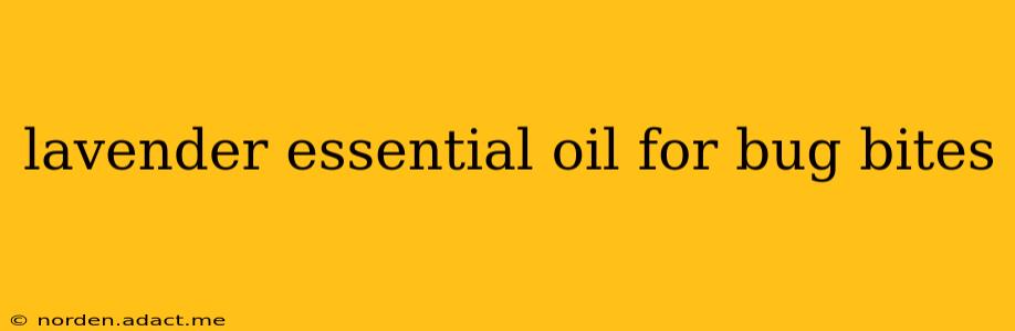lavender essential oil for bug bites