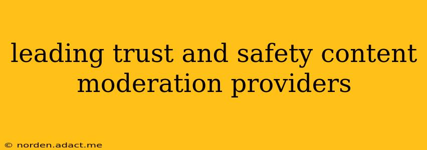 leading trust and safety content moderation providers