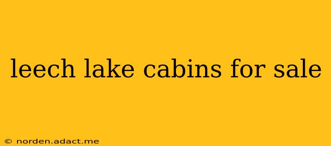 leech lake cabins for sale