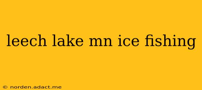 leech lake mn ice fishing