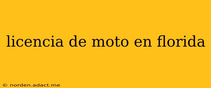 licencia de moto en florida