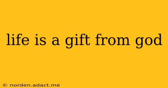 life is a gift from god