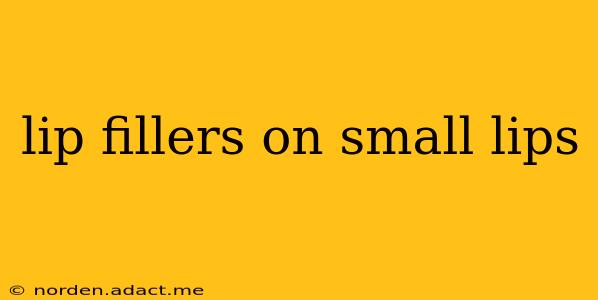 lip fillers on small lips