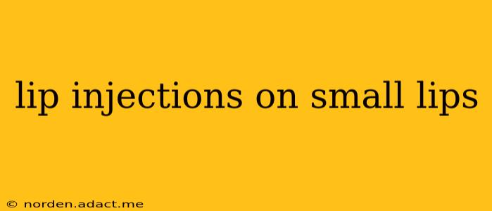 lip injections on small lips