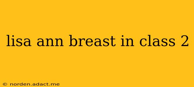 lisa ann breast in class 2 lisa ann breast in class 2