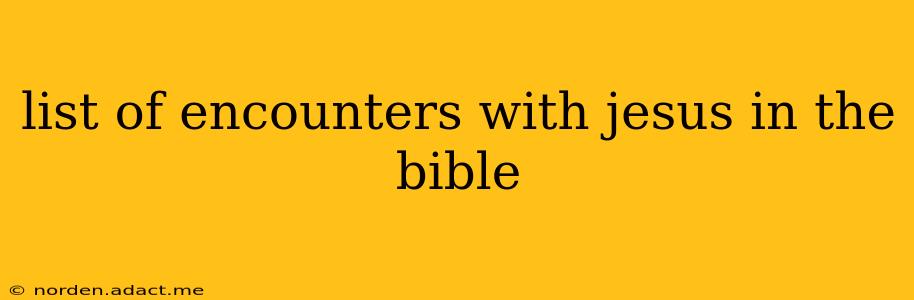 list of encounters with jesus in the bible