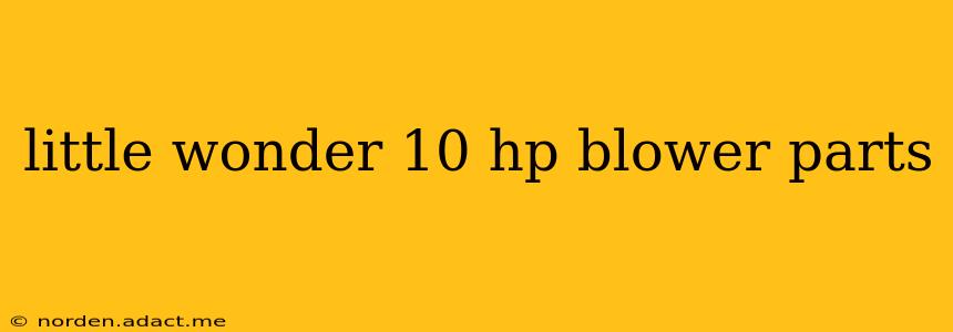little wonder 10 hp blower parts