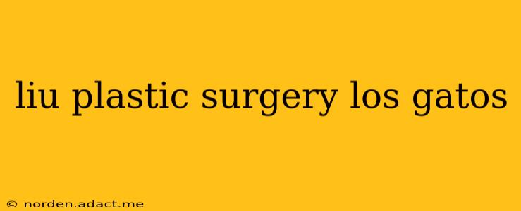liu plastic surgery los gatos