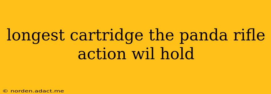 longest cartridge the panda rifle action wil hold