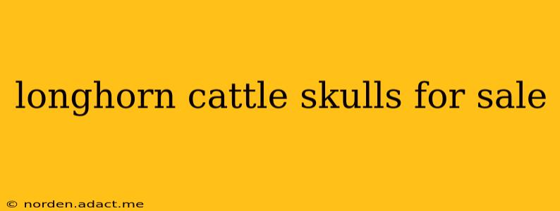 longhorn cattle skulls for sale