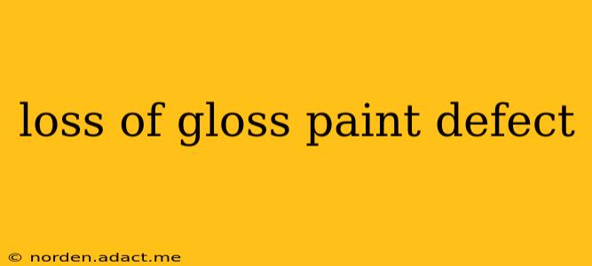 loss of gloss paint defect