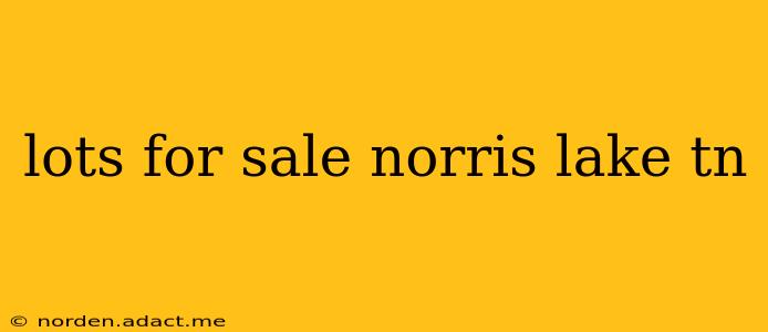 lots for sale norris lake tn