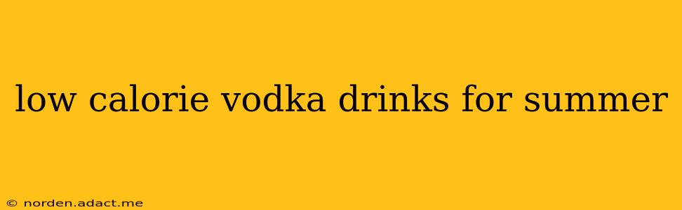 low calorie vodka drinks for summer